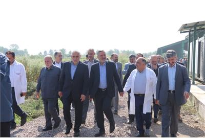 وزیر کار از شرکت دامپروری، کشت و صنعت صنایع شیر ایران بازدید کرد