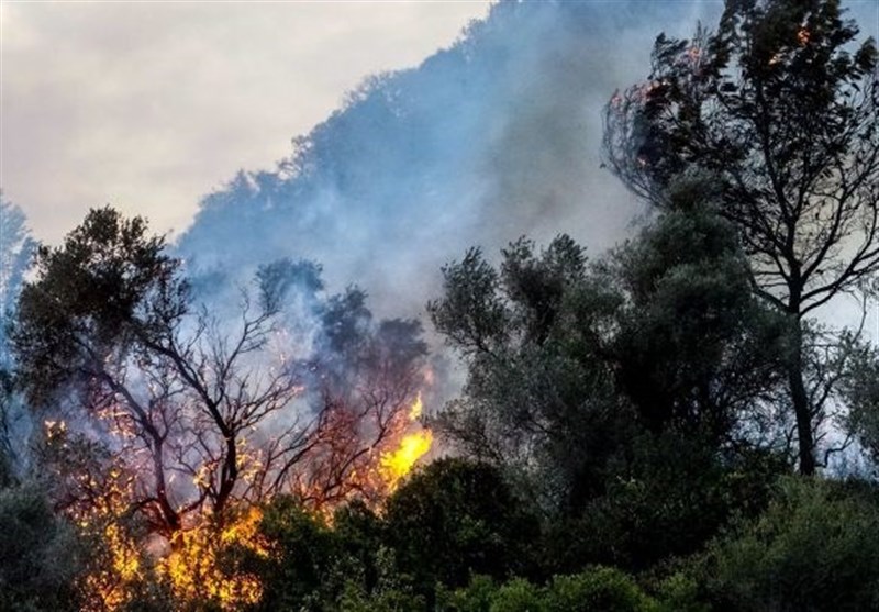 آتش‌گرفتن یک هکتار از جنگل‌های شهرستان تالش