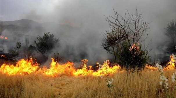 آتش‌سوزی در مراتع و علفزارهای گیلان