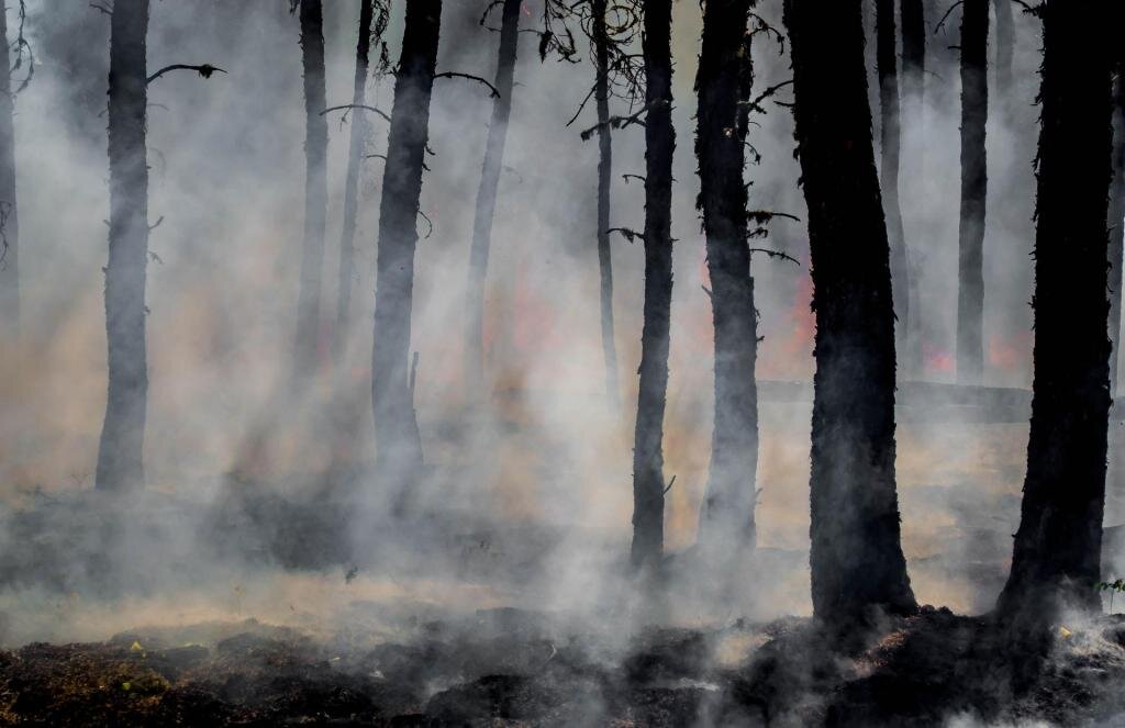اطفای آتش‌سوزی اراضی جنگلی رودبار