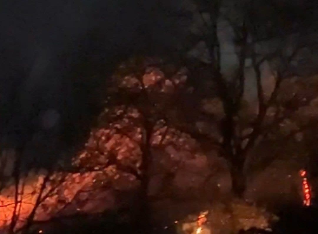 امیرکلایه لاهیجان دچار آتش‌سوزی شد | فیلم