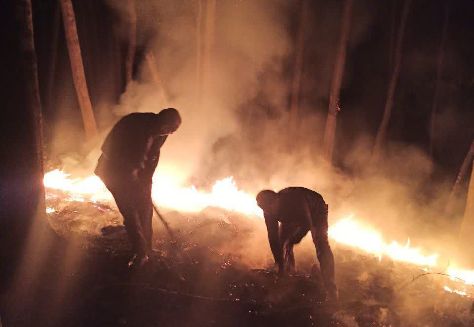 مهار آتش در جنگل آهکلان ماسال | فیلم