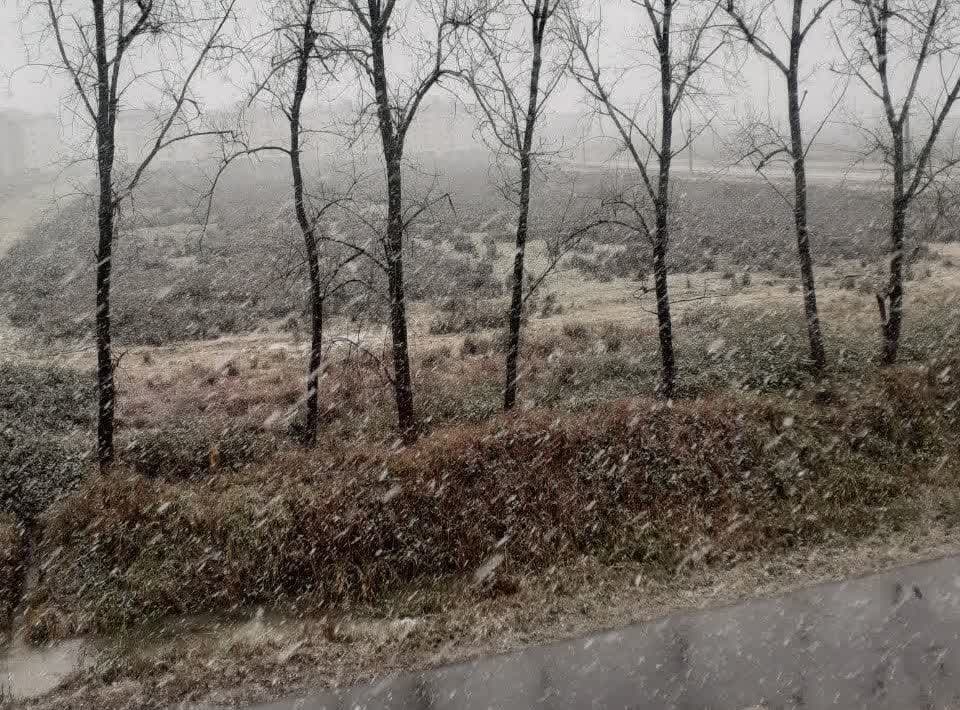 بارش نخستین برف زمستانی در رشت + فیلم