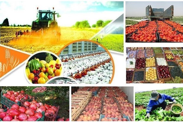 صدور ۳۸ پروانه بهره‌برداری صنایع کشاورزی در گیلان